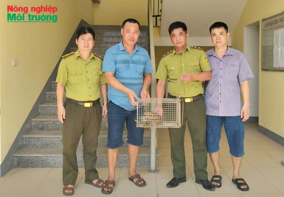 anh-trao-ruan-1_1784433147.png