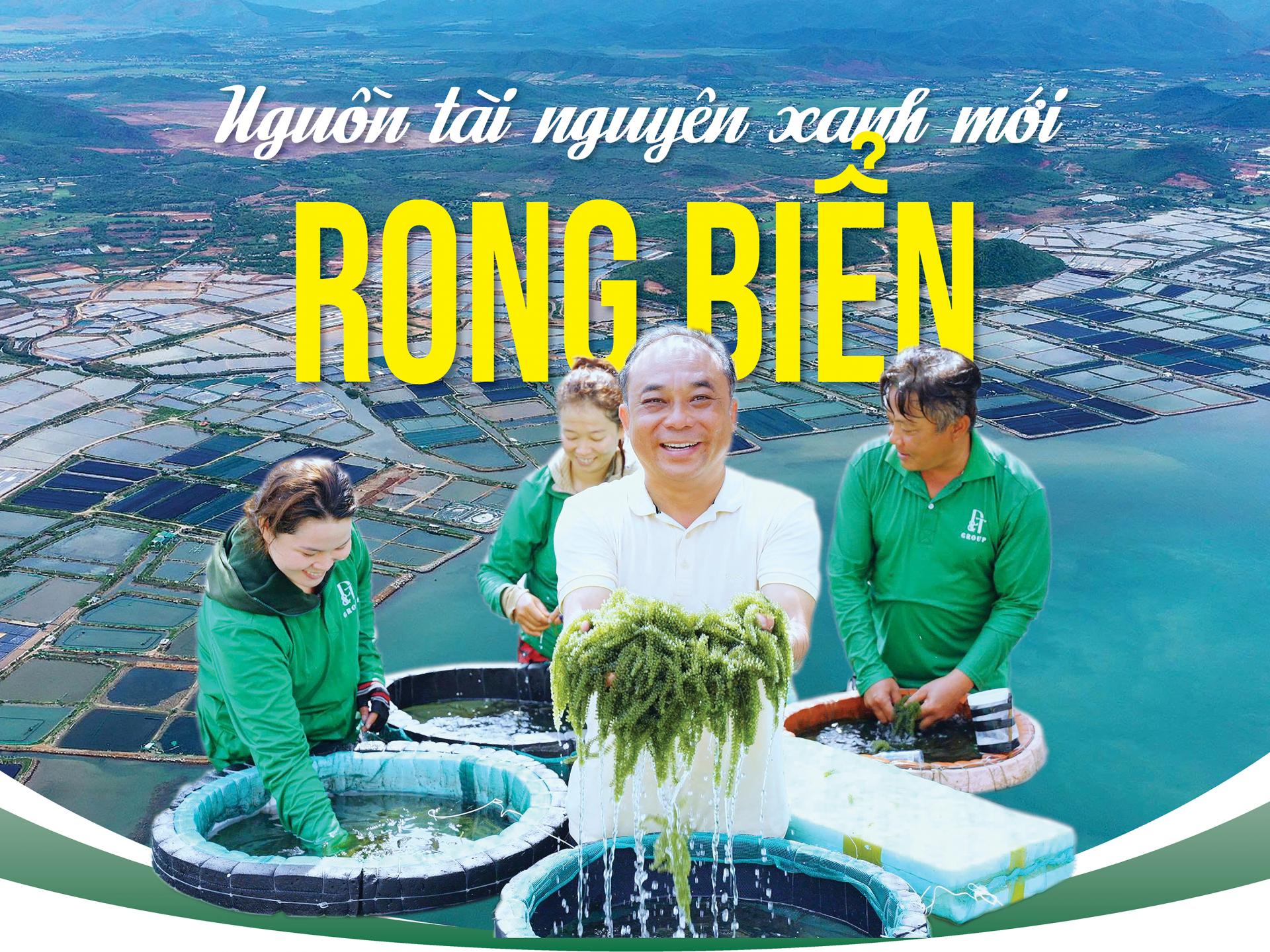Nguồn tài nguyên xanh mới - Rong biển