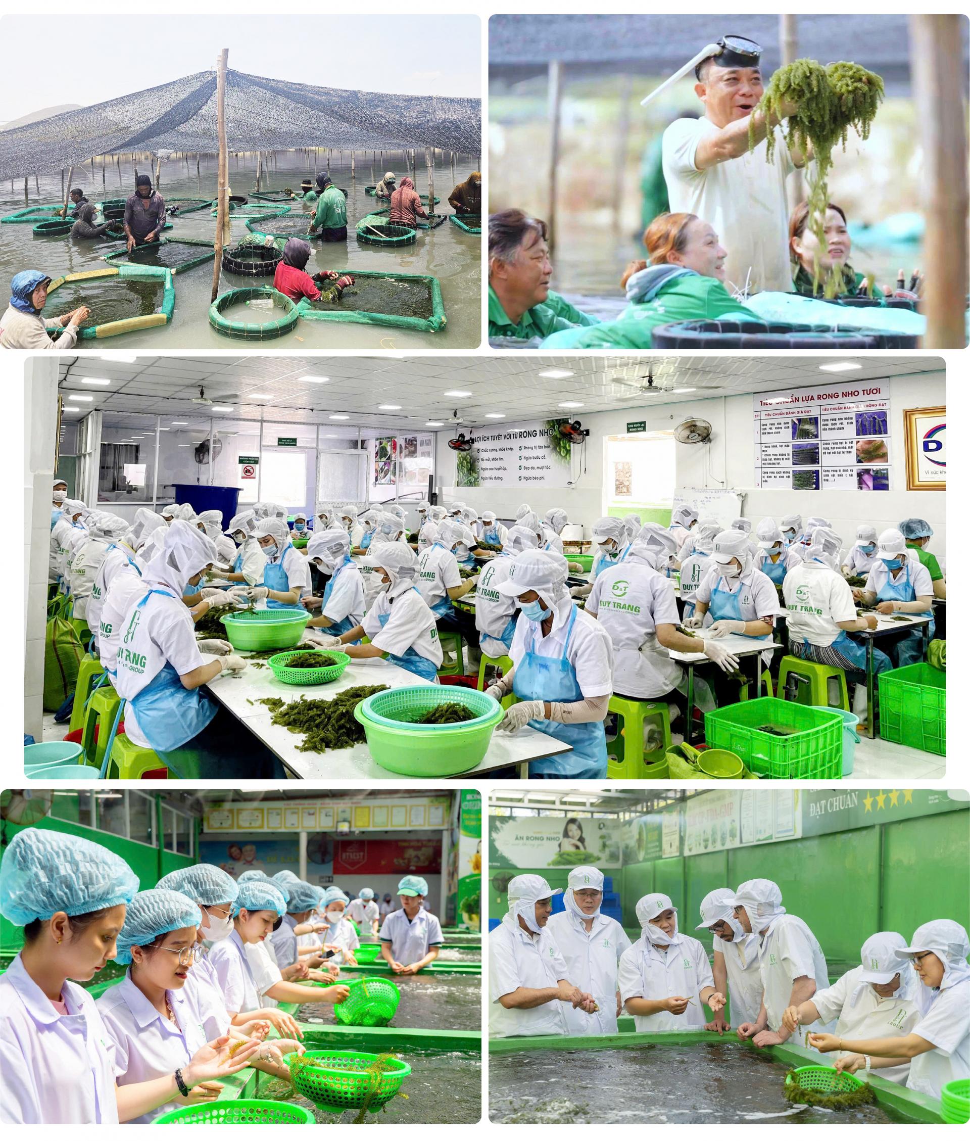 nhom-1_1787111026.jpg