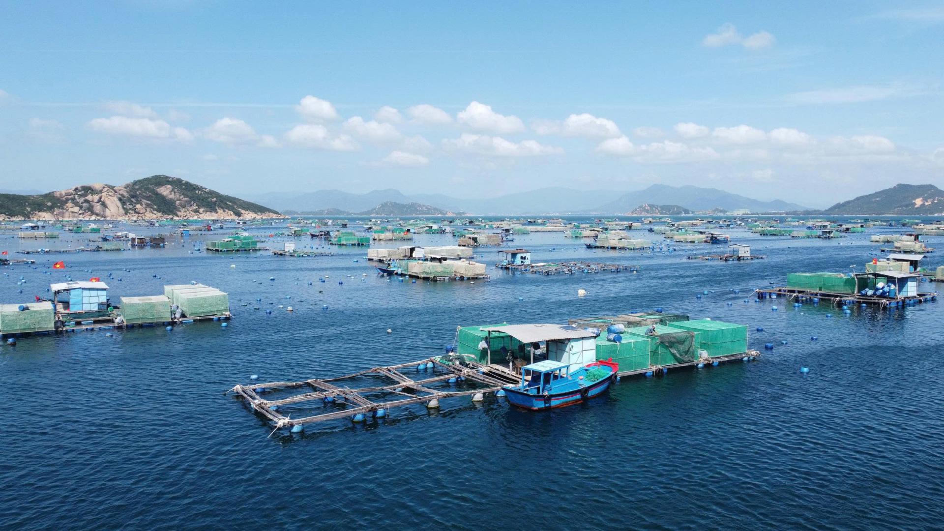 nuoi-tom-hum-khanh-hoa_1787125150.jpg