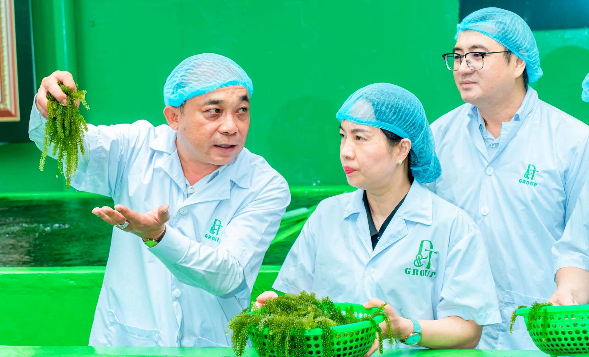 tham-quan-mo-hinh-nuoi-rong-nho-7-ok_1787111279.jpg