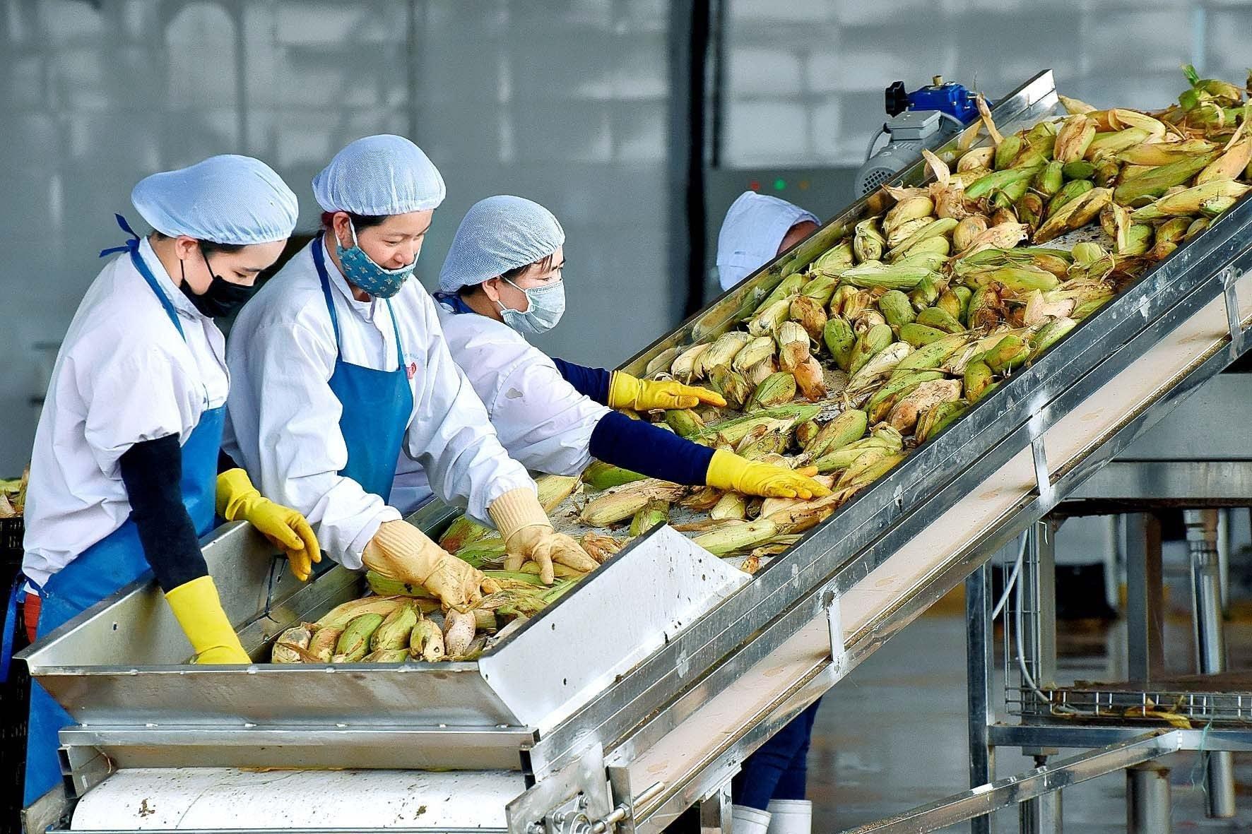 Hợp tác quốc tế - “ngọn gió lớn” đưa con thuyền nông nghiệp Việt Nam ra khơi xa