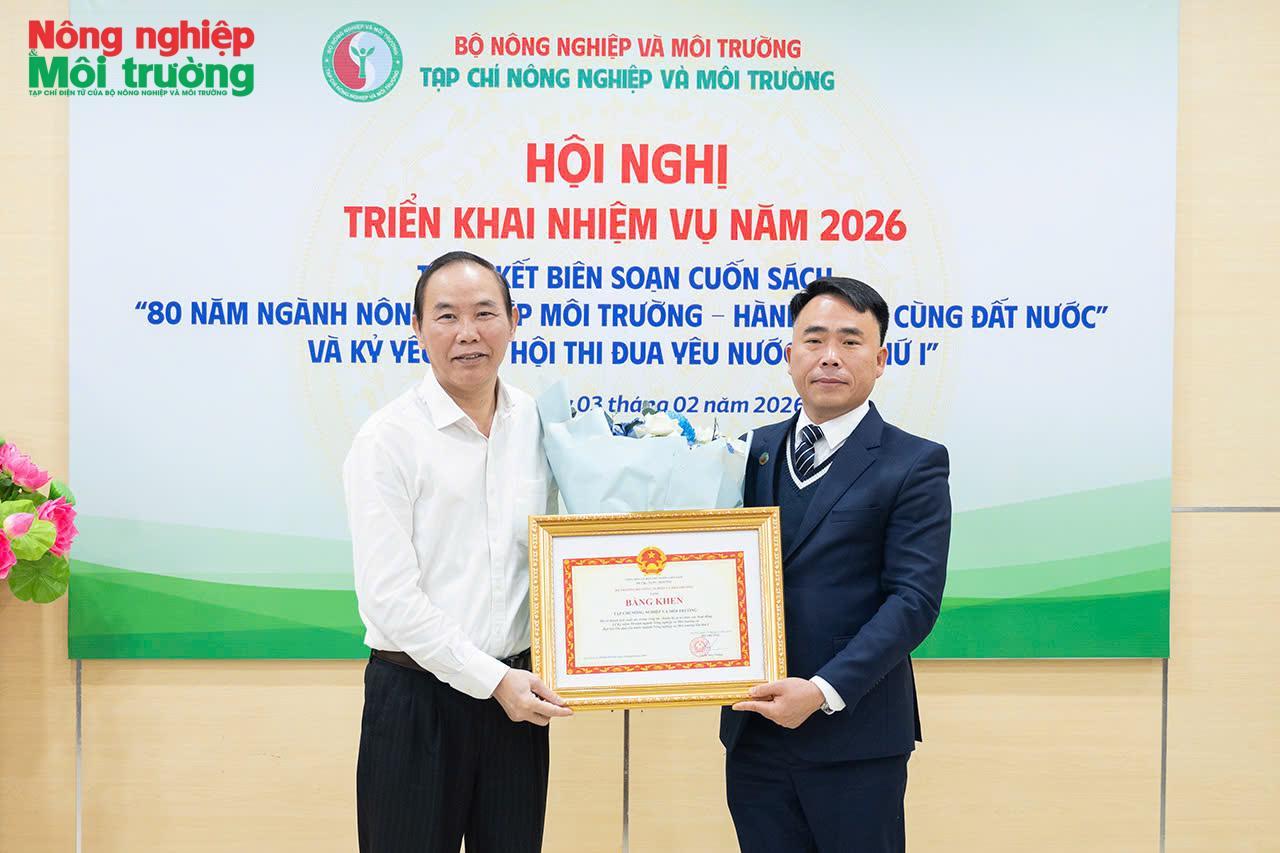 tong-ket-nam3_1781910445.jpg