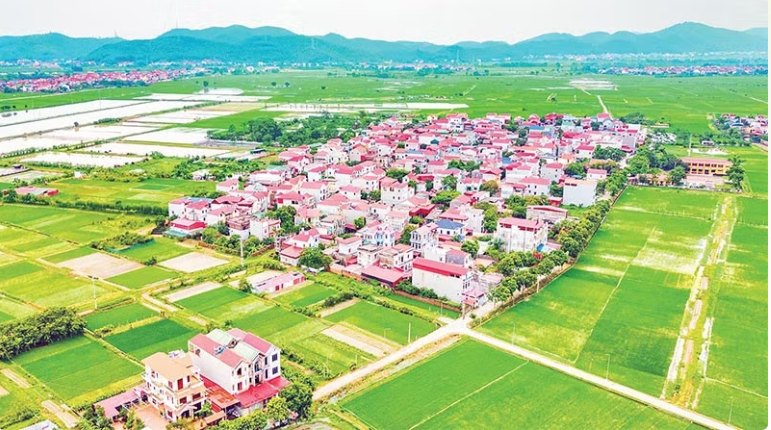 anh-cau-chuyen-ntm-1_1779332500.png
