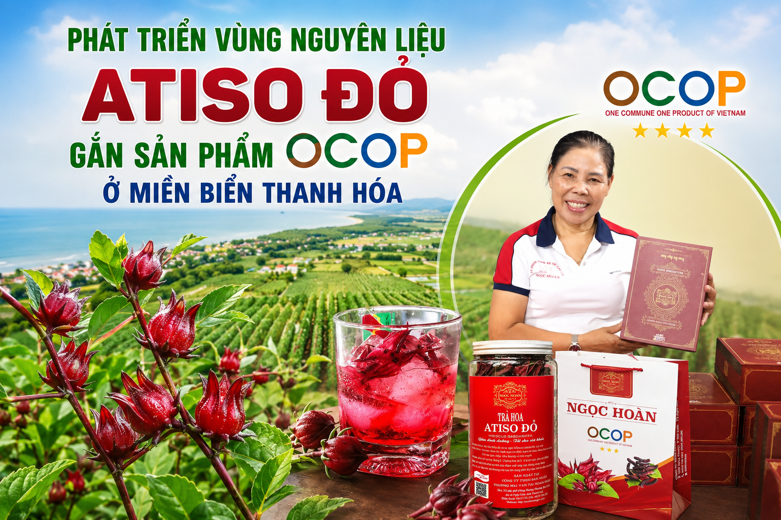 Phát triển vùng nguyên liệu Atiso đỏ gắn sản phẩm OCOP ở miền biển Thanh Hóa