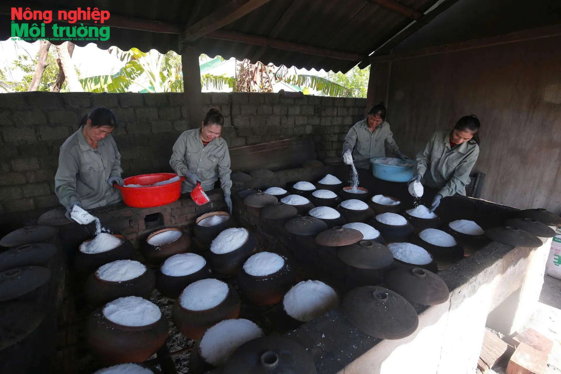 Triển vọng hạt muối hầm xứ Nghệ