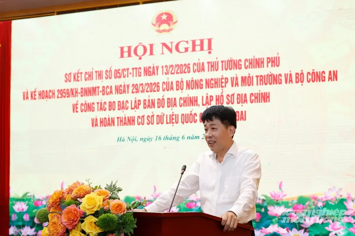 baonnmt_a-phan-185207_65-185211-193312_1782118082.webp