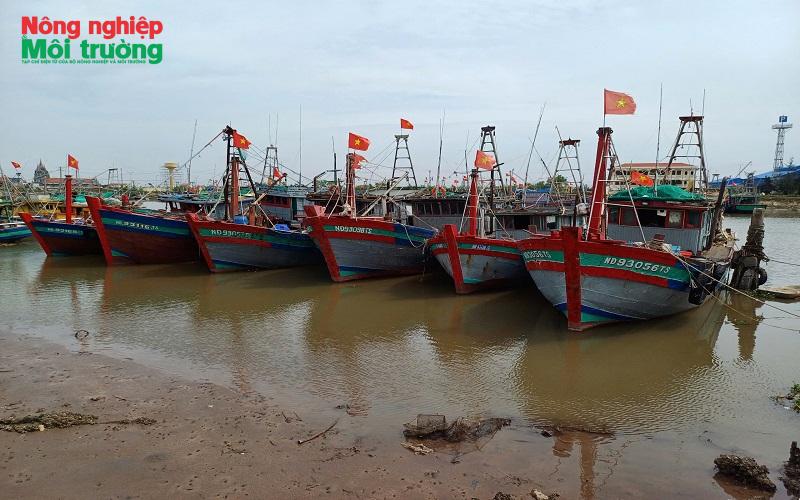 anh-2--quan-vinh-2_1787371205.jpg