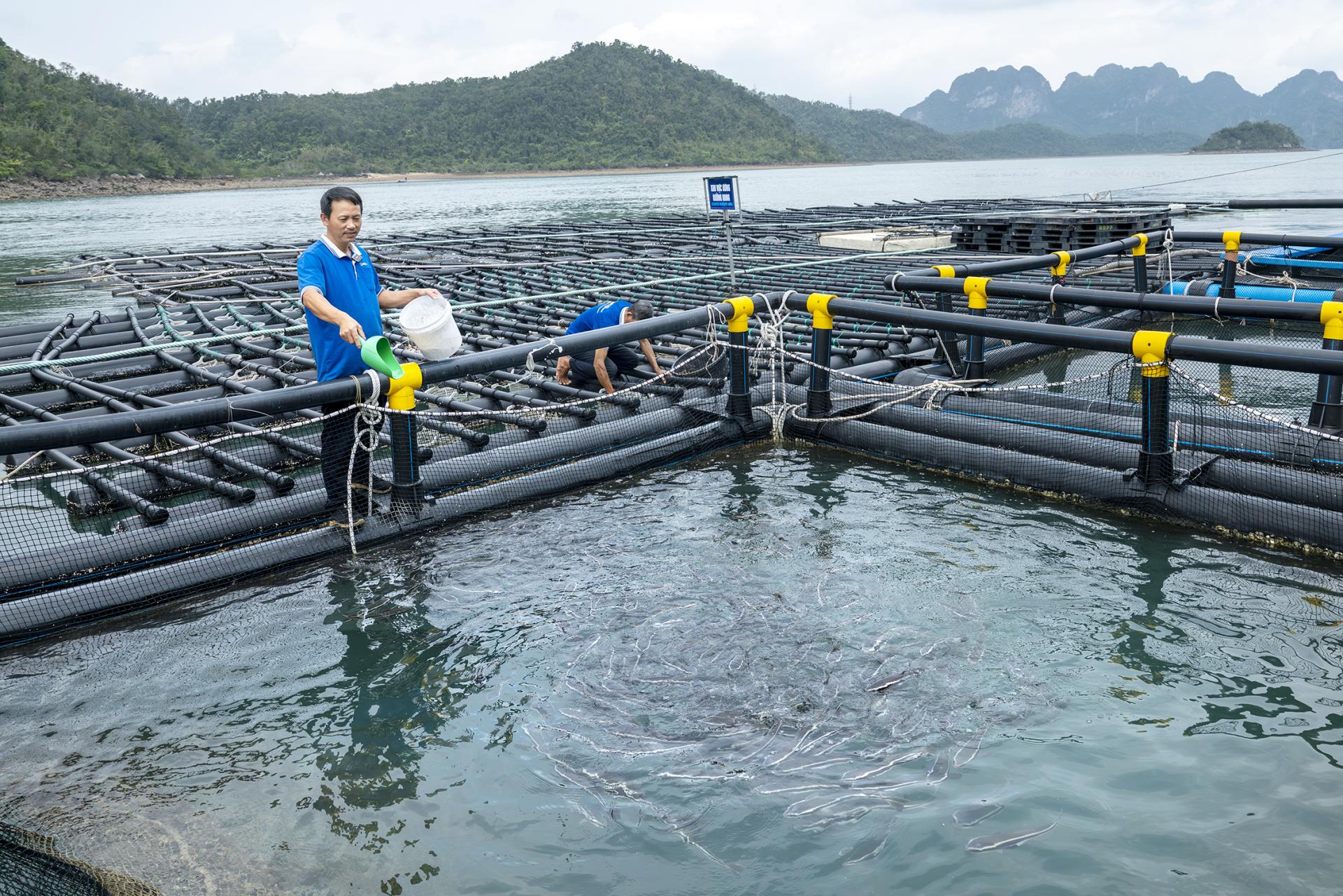 nuoi-thuy-san_54_1790048245.jpg