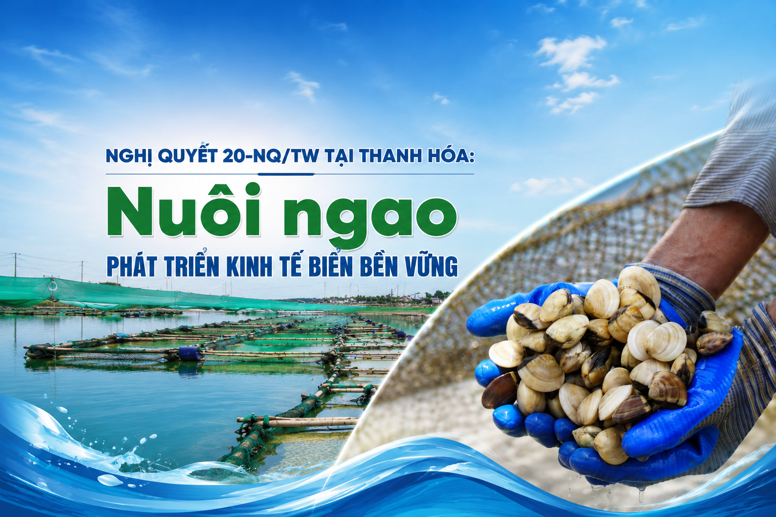 Phát triển kinh tế biển bền vững từ nuôi ngao