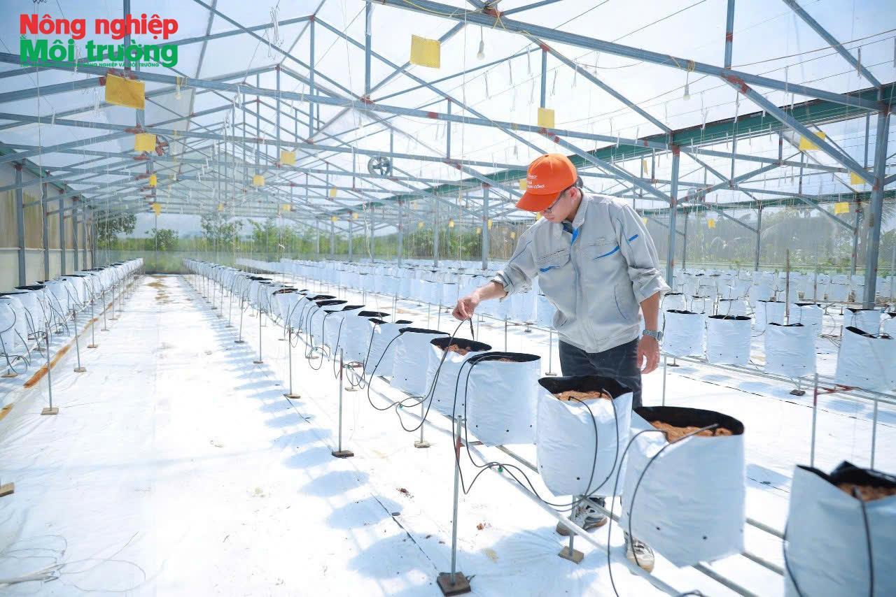 Nghệ An mở lối “tam nông”: Tư duy mới, động lực mới cho chặng đường đến 2030