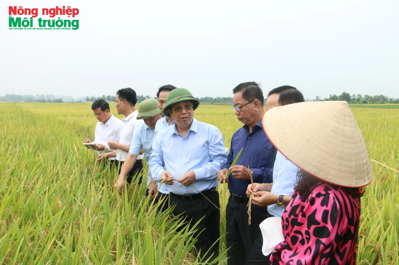 Ứng dụng kỹ thuật trồng trọt mới mở ra cơ hội tham gia thị trường carbon