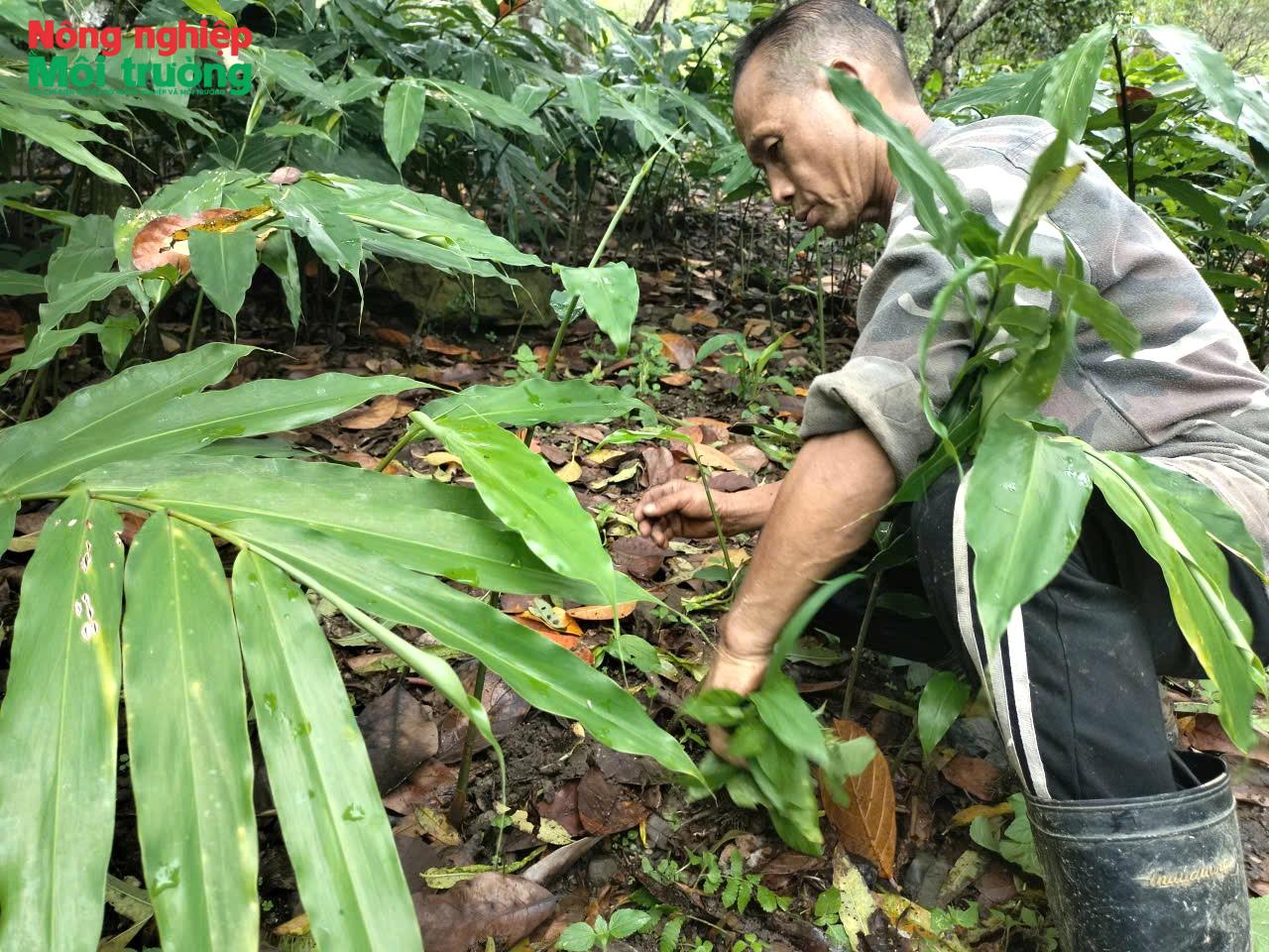 sa-nhan-tim-ong-ly-nhia-phong-o-ban-trung-tam-xa-huoi-tu_1787462910.jpg