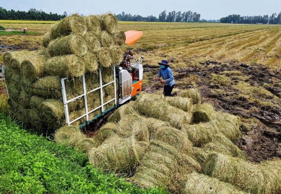 Vật liệu phân hủy sinh học: Hướng mới cho nông nghiệp xanh