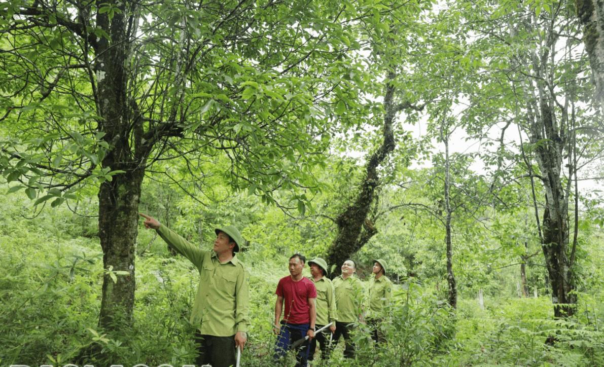 Bài 4: Bảo tồn thiên nhiên để phát triển bền vững ở Bát Xát