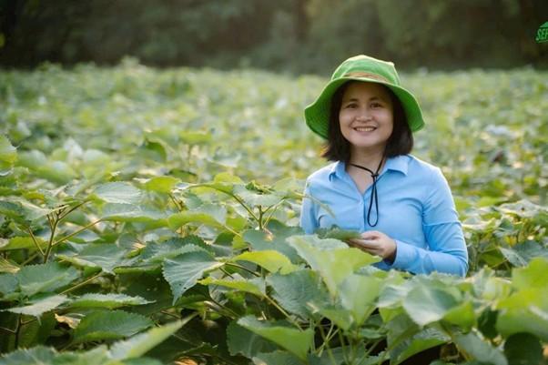 Tín chỉ carbon lúa - cuộc cách mạng xanh trên đồng ruộng