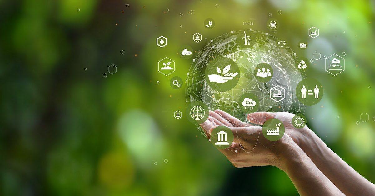 green-project_1790222339.jpg