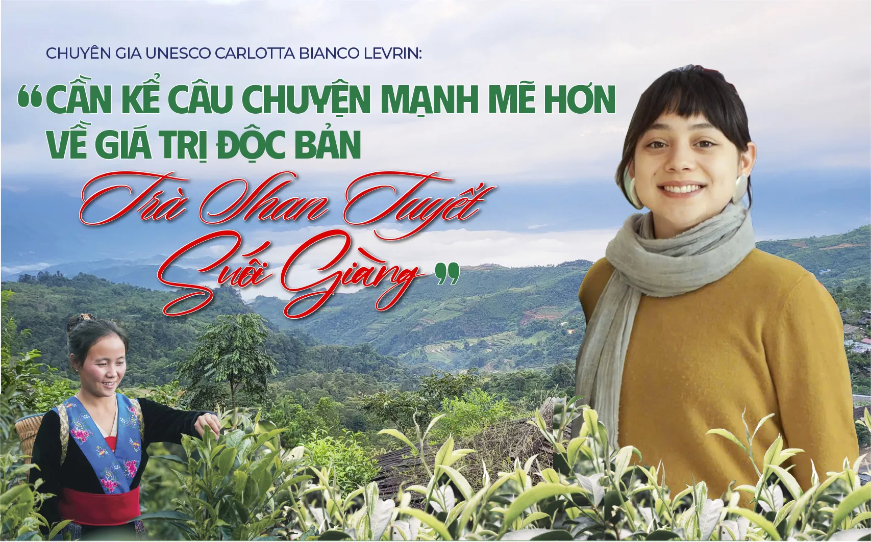 "Cần kể câu chuyện mạnh mẽ hơn về giá trị độc bản trà Shan Tuyết Suối Giàng"