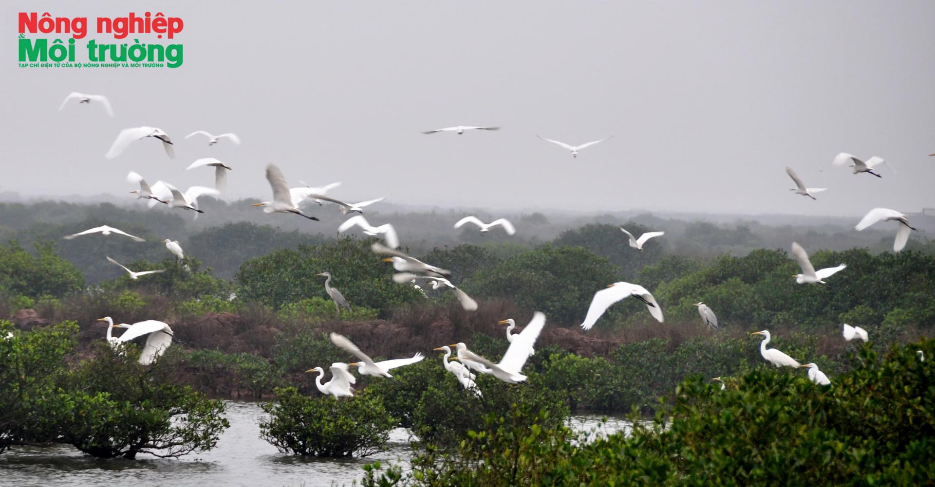 Bài 16: Từ bảo tồn thiên nhiên đến sinh kế bền vững cộng đồng ở Vườn quốc gia Xuân Thủy