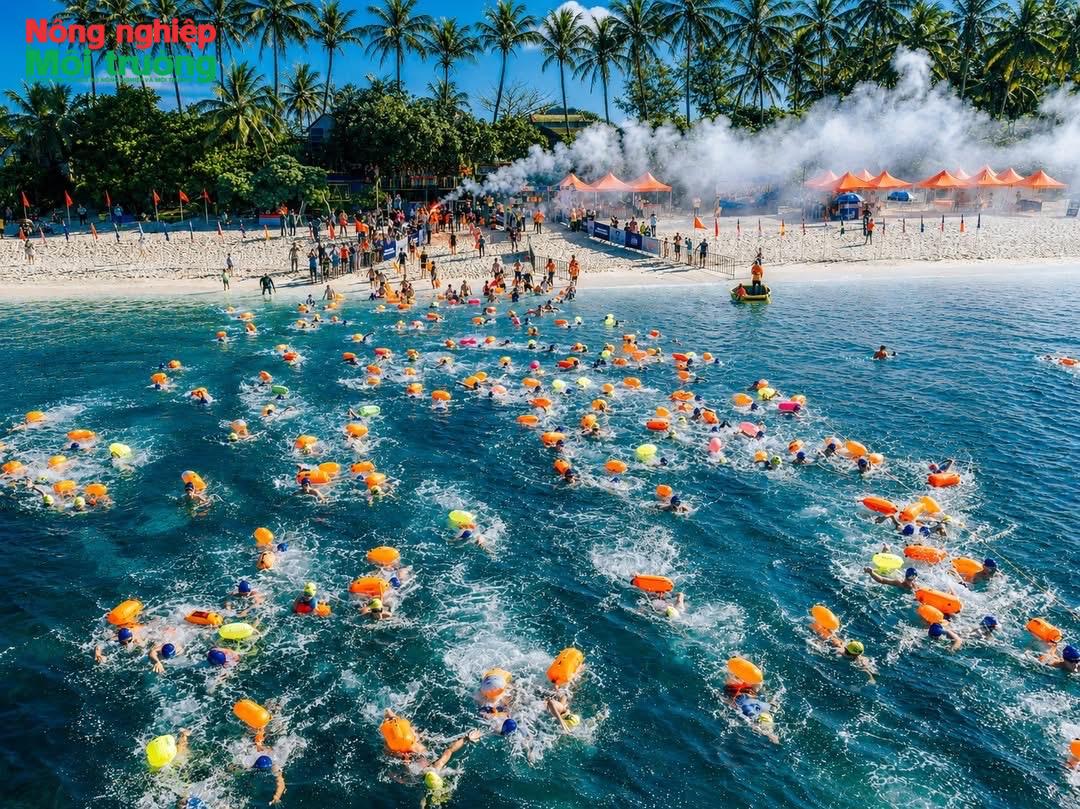 Định vị Quảng Ngãi là điểm đến biển đảo năng động và khác biệt