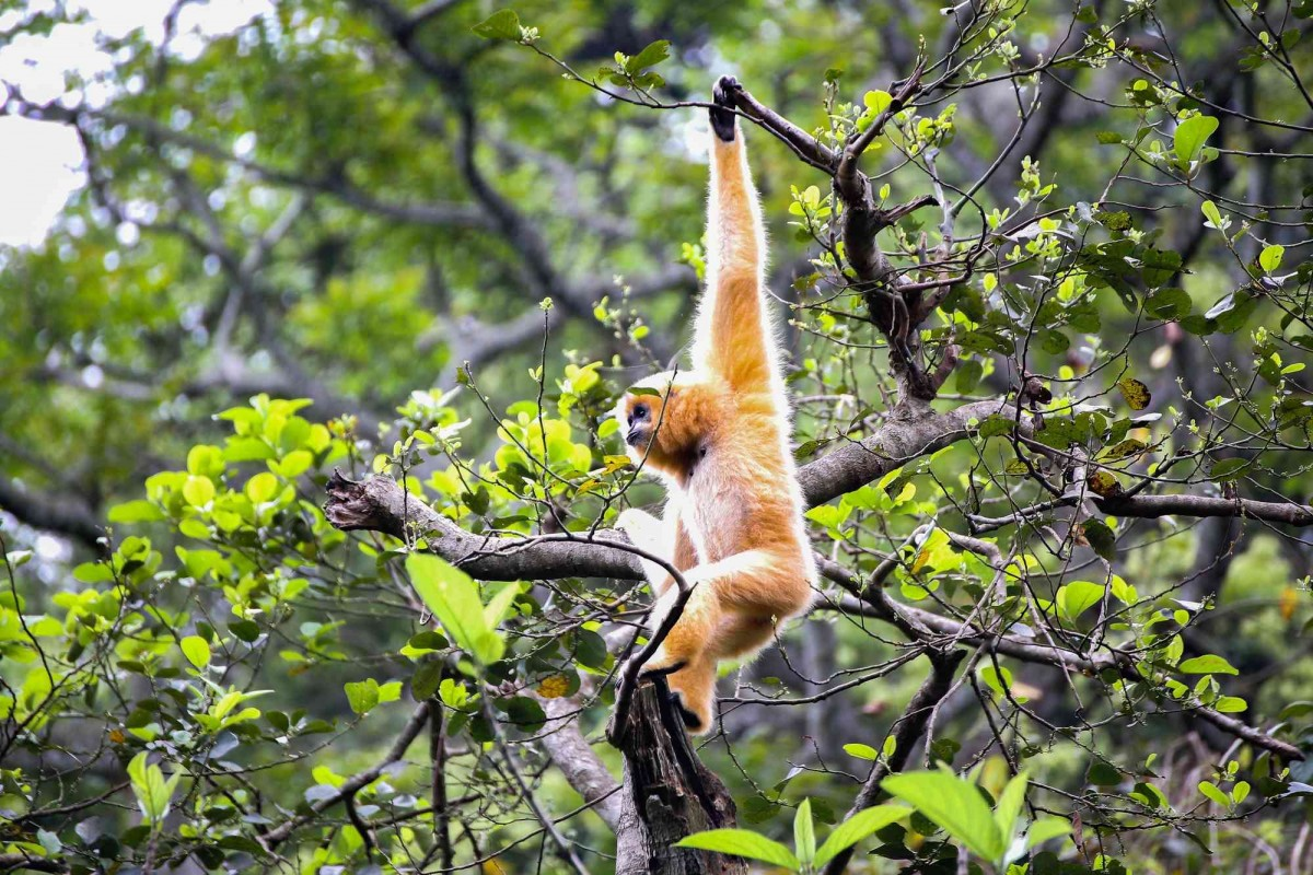 Áp lực tăng trưởng và bài toán sinh thái: Đừng để đa dạng sinh học thành “vùng trũng” đầu tư