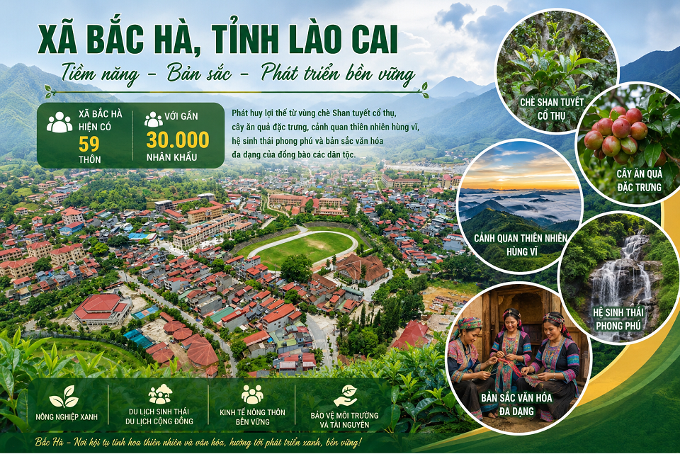 bac-ha-1_1787618557.png