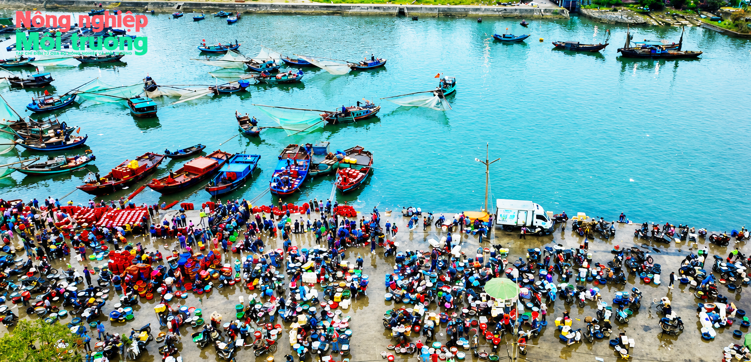 bai-3-cua-lo_1787562269_1787643423.png
