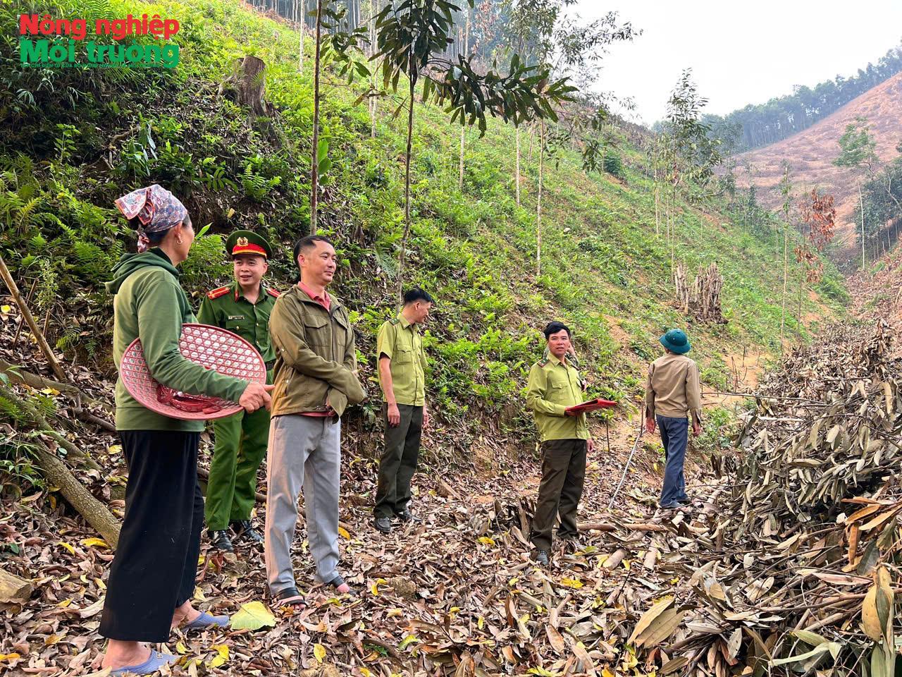 anh-5---kiem-tra-rung-trong_1790288375.jpg