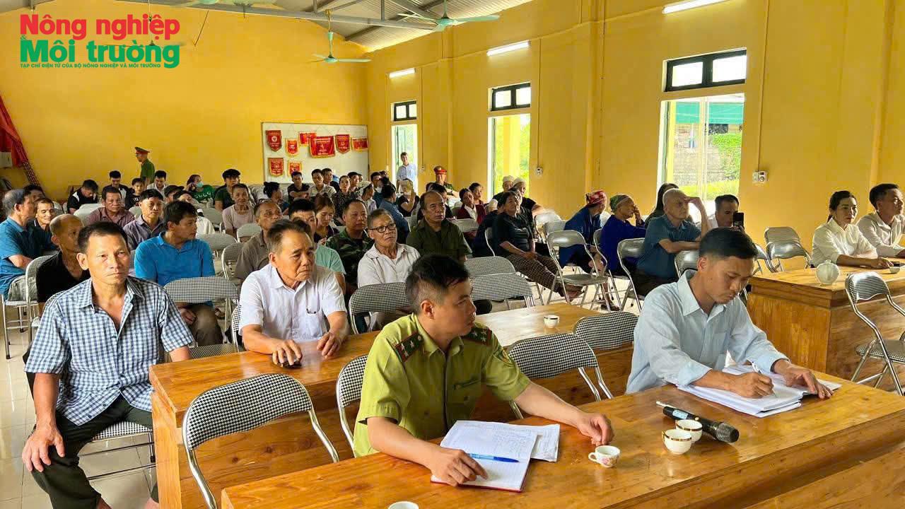 anh-6---phat-trien-lam-nghiep_1790288375.jpg