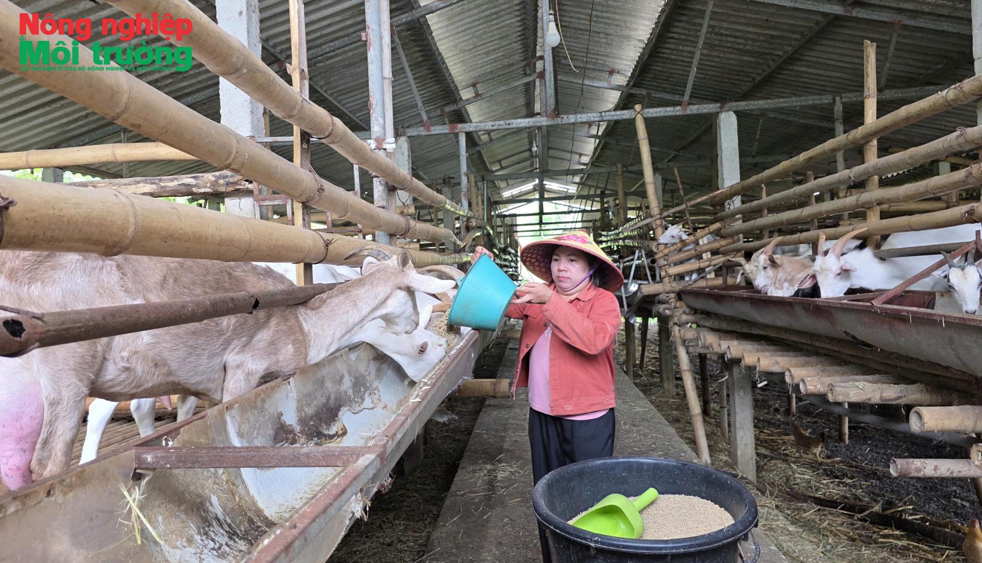 Khơi dậy nội lực từ phát triển kinh tế hộ
