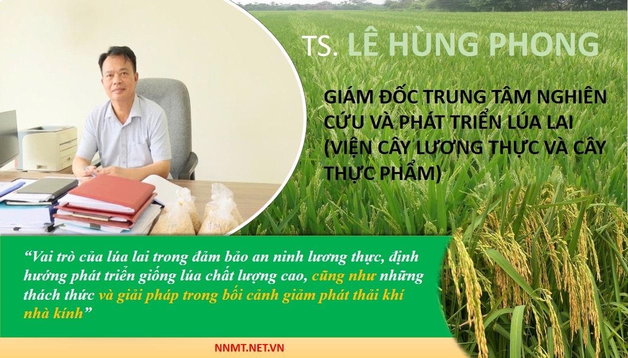 TS. Lê Hùng Phong: Lúa lai tiếp tục là trụ cột nâng cao giá trị hạt gạo Việt Nam