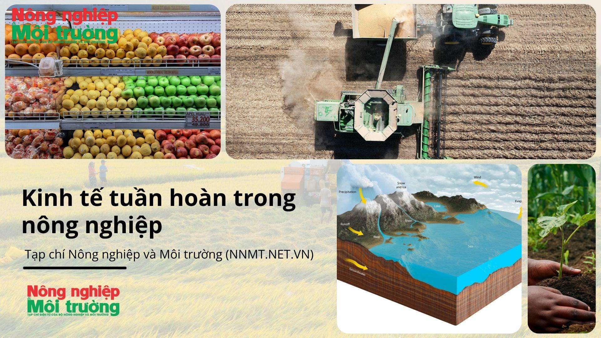 the-circular-economy-and-food-production-education-presentation_1779785957.jpg
