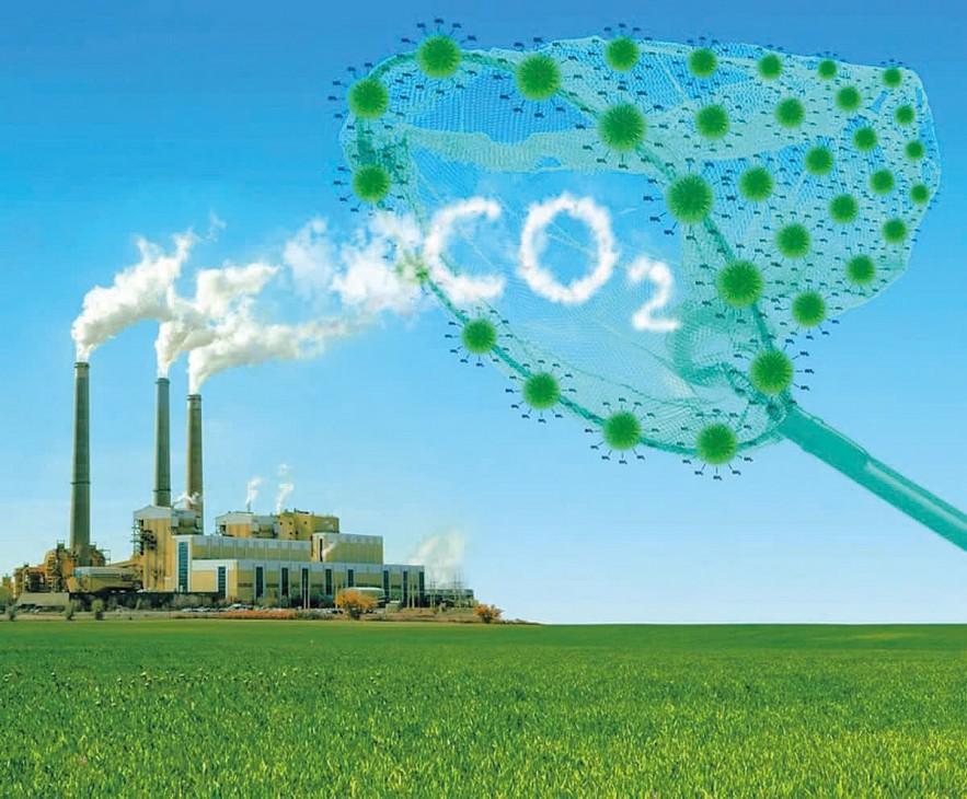 con-rat-nhieu-viec-phai-lam-de-van-hanh-thi-truong-tin-chi-carbon-20240906211211_1790422403.jpg