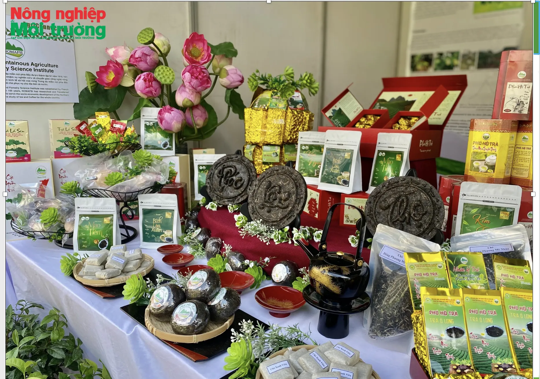 Cuộc cách mạng chè Việt từ tiêu chuẩn vùng nguyên liệu đến công nghệ chế biến sâu