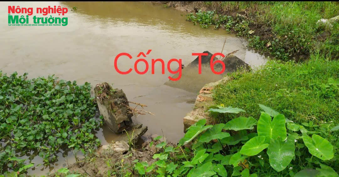 anh-3---cong-t6_1777280840.png