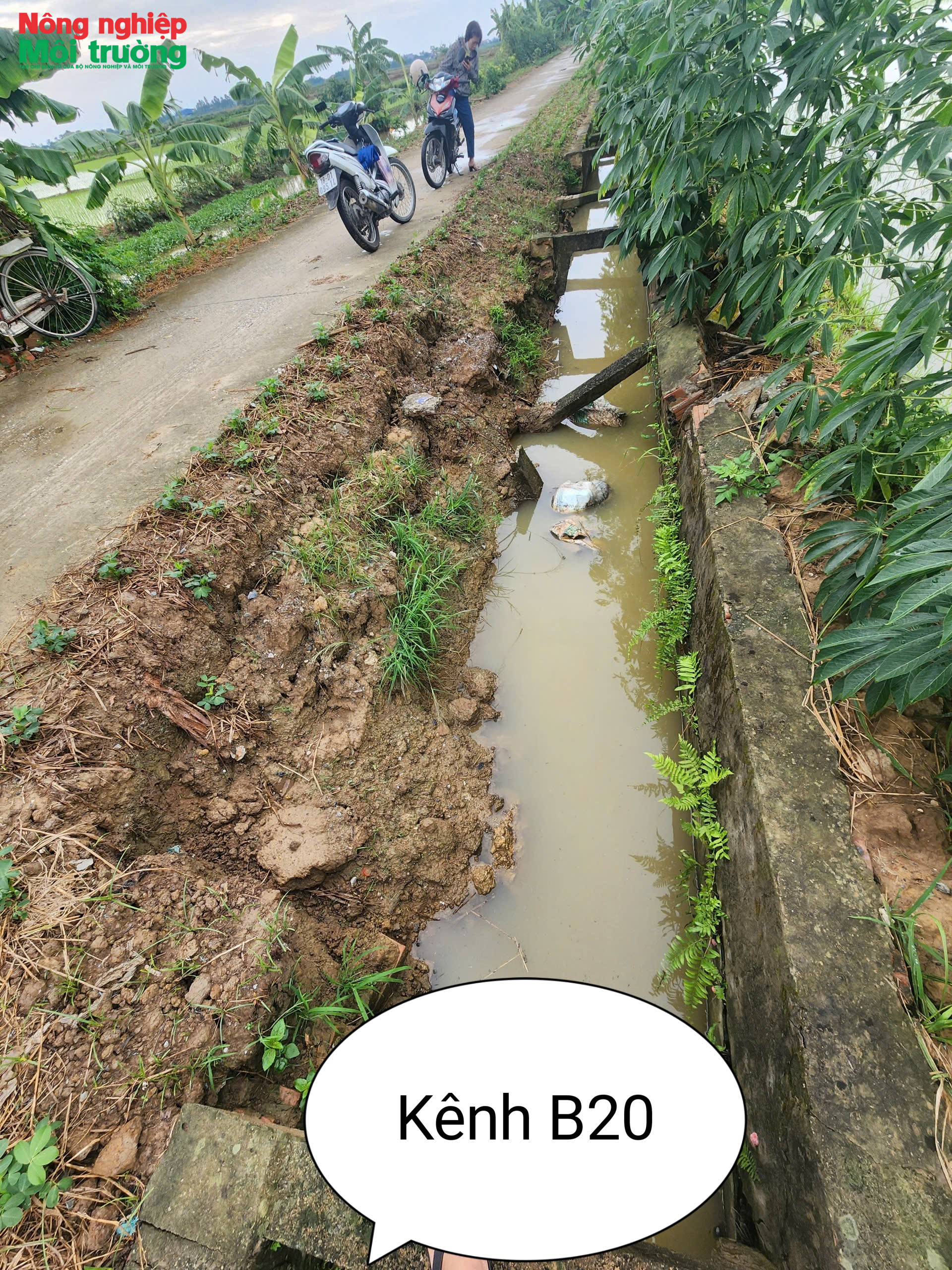 anh-6---kenh-b20_1777280850.png