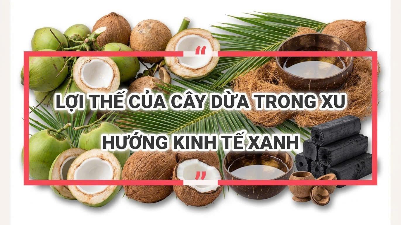 cay-dua-8_1779890842.jpg