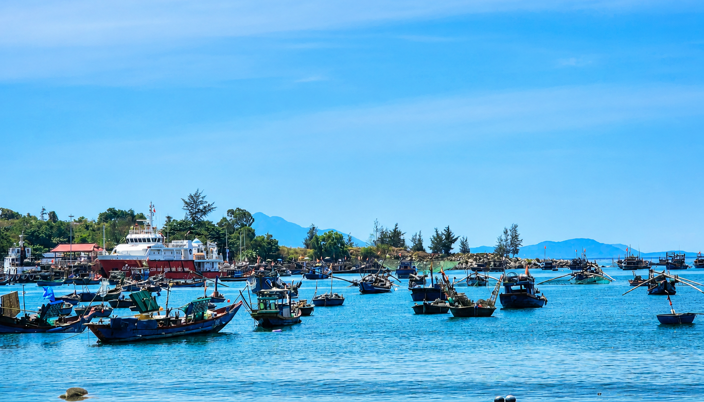 bien-da-nang_1782564223.png