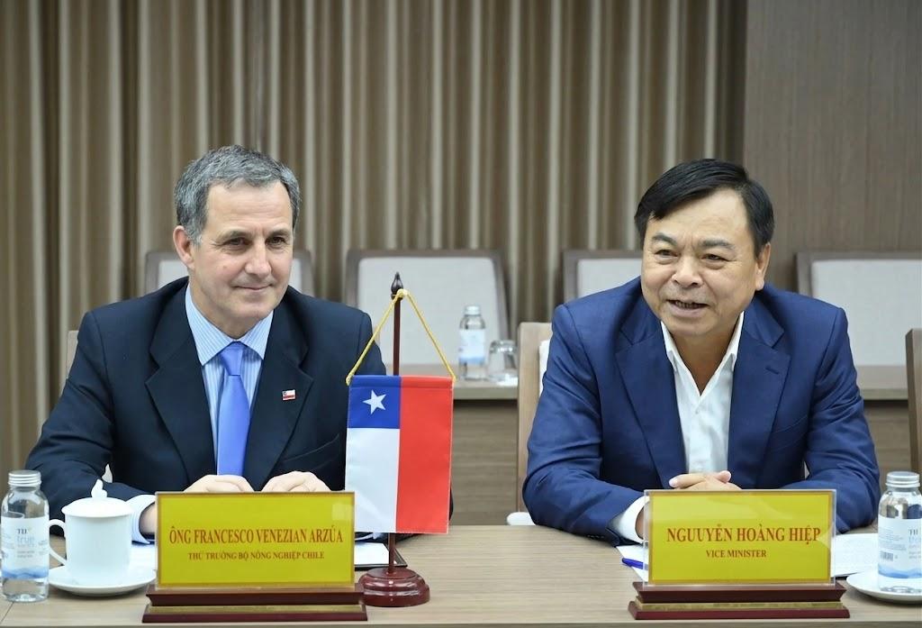 Nông nghiệp Việt Nam - Chile: Tối ưu bổ trợ, kết nối dài hạn
