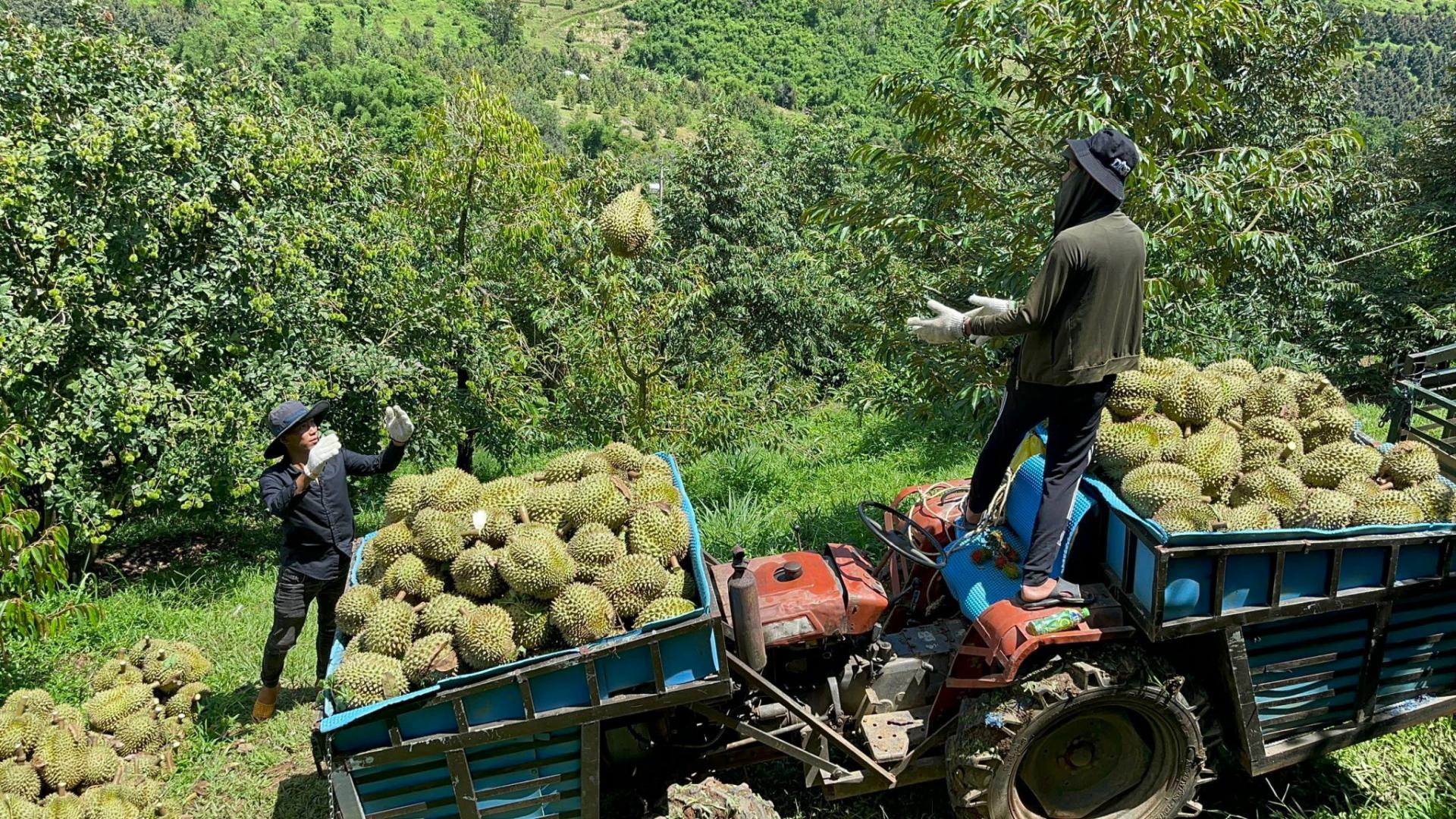 Khánh Hòa thông qua chính sách hỗ trợ OCOP giai đoạn mới