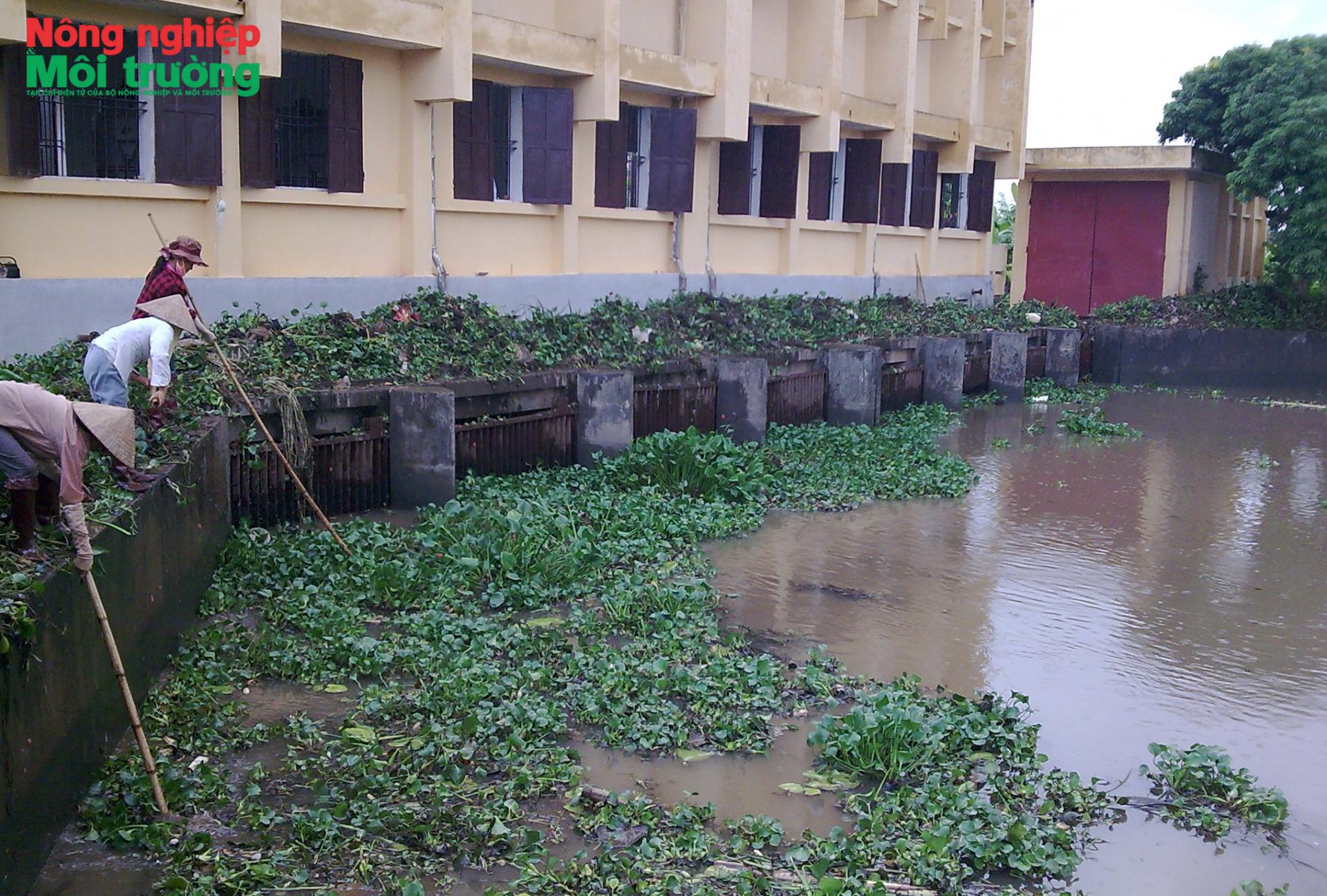 anh-2--tb-tinh-xuyen-1_1790482390.jpg