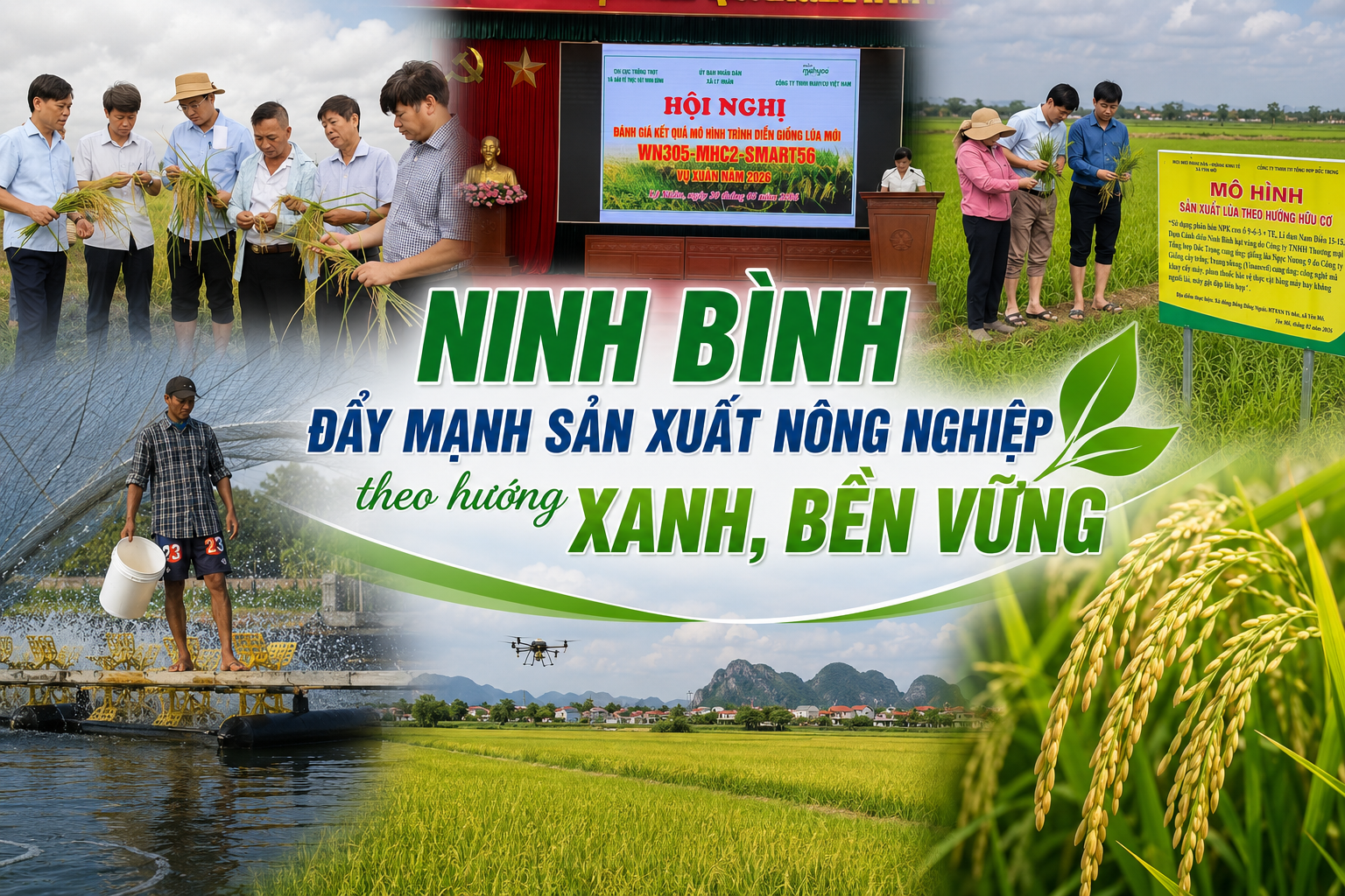 Ninh Bình đẩy mạnh sản xuất nông nghiệp theo hướng xanh, bền vững