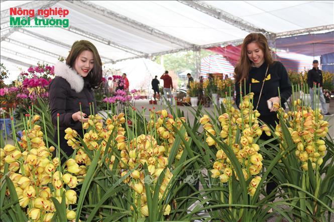 Lễ hội hoa cây cảnh, sản phẩm OCOP và đặc sản vùng miền năm 2026 sẽ diễn ra từ 5/2