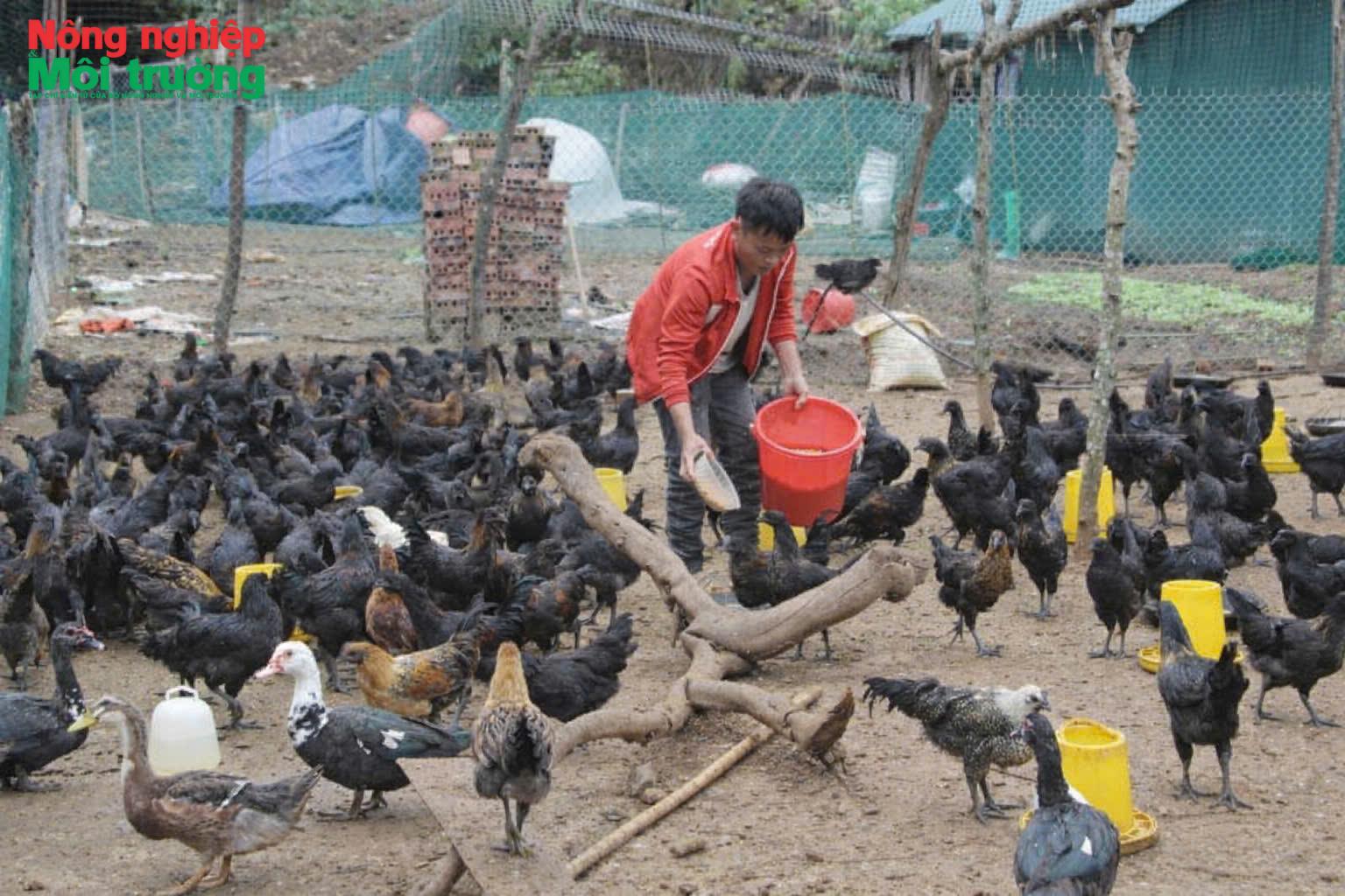 Phát huy vai trò Hội Nông dân trong tái cơ cấu nông nghiệp ở Bắc Yên