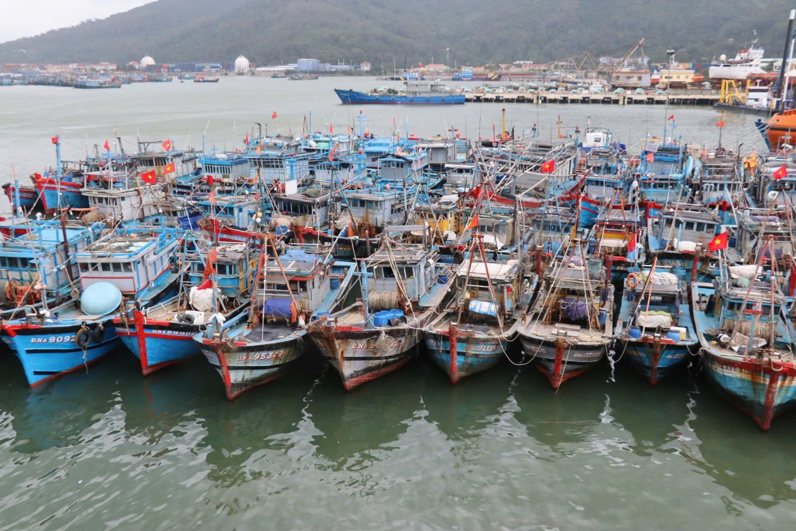 Nỗ lực của Chính phủ và Bộ Nông nghiệp và Môi trường trong việc gỡ "thẻ vàng" IUU: Cuộc kiểm tra thứ 5 của EC vào tháng 3-2026