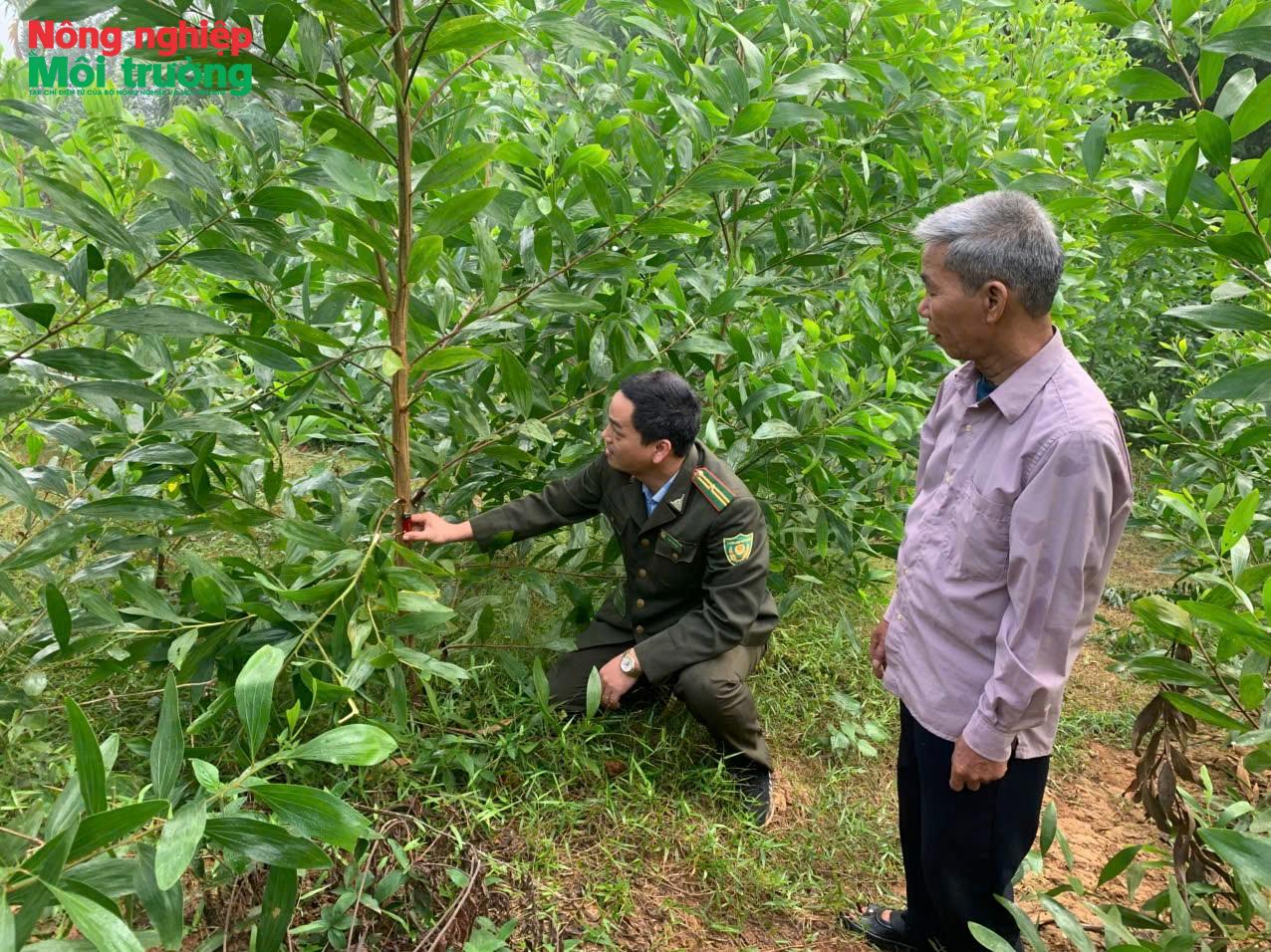 Bài 39: Phú Thọ - Giữ vững an ninh rừng, tạo nền tảng phát triển lâm nghiệp bền vững ở Lạc Sơn