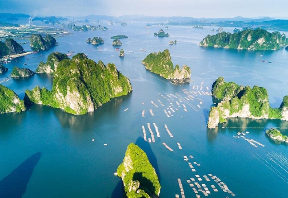 4438_bien-vn_1779943352.jpg