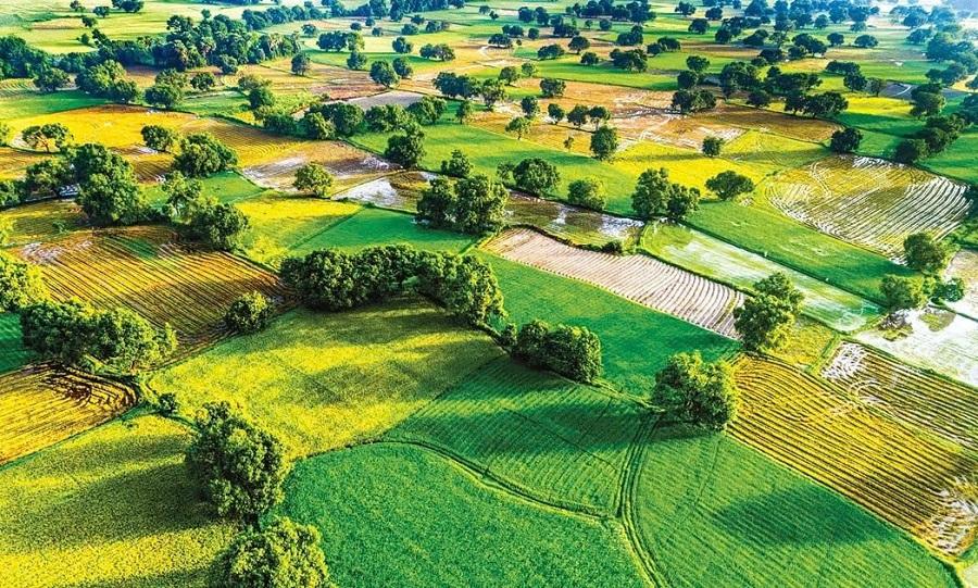 An Giang ưu tiên nông nghiệp công nghệ cao và tăng trưởng xanh, định hướng thu hút hơn 90.000 tỷ đồng vốn đầu tư năm 2027