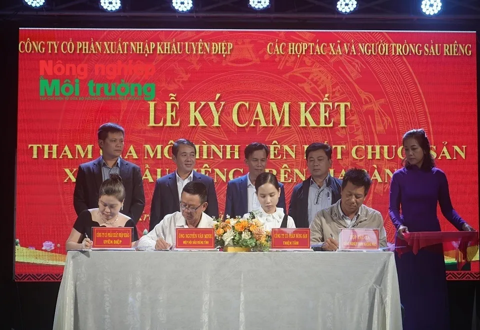 Đắk Lắk: Xã Krông Pắc tổng kết niên vụ sầu riêng 2025, triển khai kế hoạch sản xuất năm 2026