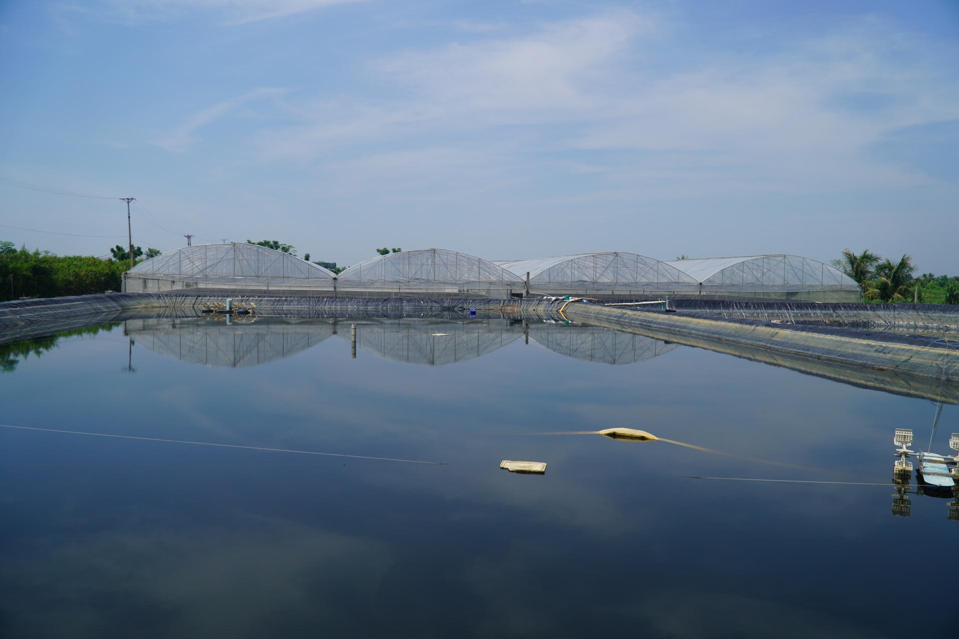 dsc03479_1788021586.jpg